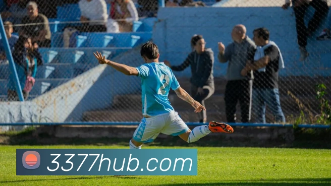 3377体育发展历程